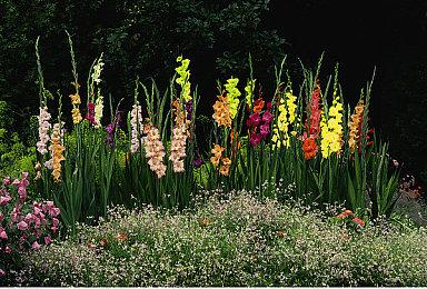 Build A Rocket Boy 与 IOI联合宣布《MindsEye心之眼》全球发行：互动娱乐